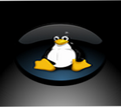 Linux Tranformed Logo 